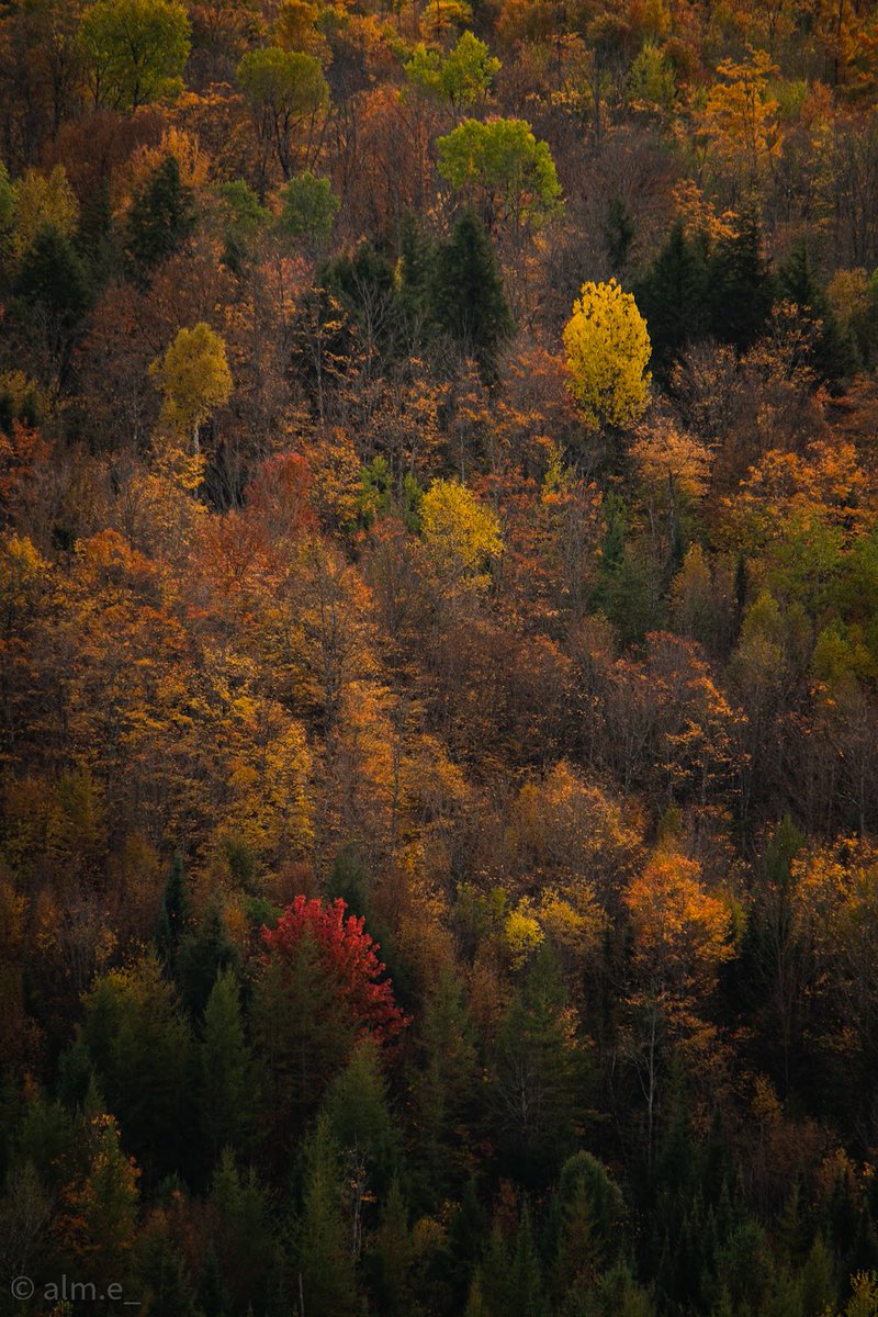 Random Public Park 🏞️ on Twitter "Rest Area Lyndon, Vermont 3.5/5