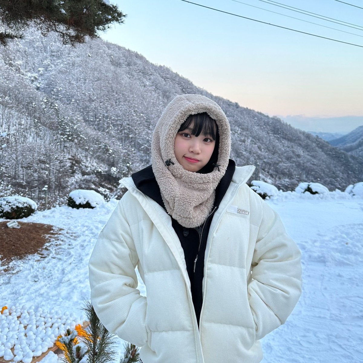 sunflowon's tweet photo. https://t.co/SwCdTOBNqr