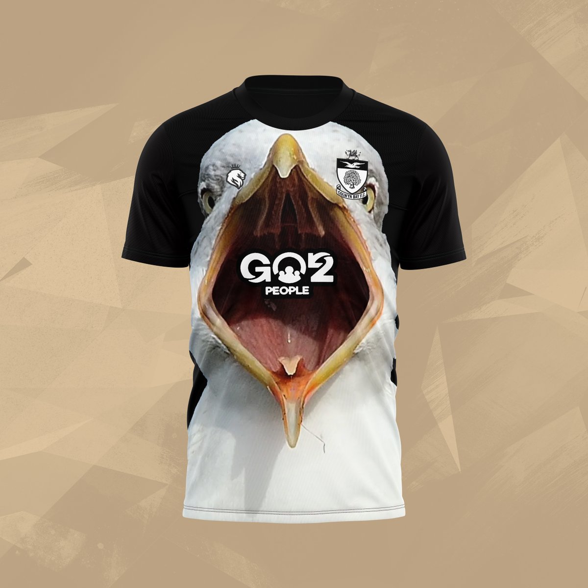 ColwynBayFC's tweet image. Introducing our new away kit for Season 23/24 - we're hoping these will fly off the shelves🕊️! Pre-orders will be taken by @hgsportswear from next week @GO2PeopleWales