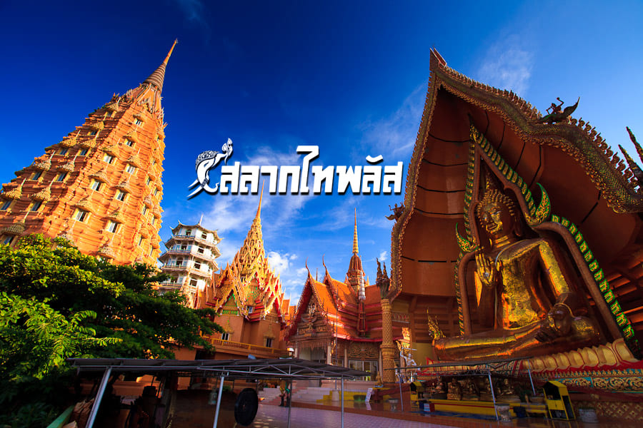 salagthai's tweet photo. สลากไทพลัส วัดถ้ำเสือ
 อ่านเพิ่ม https://t.co/KyF8NGs8JE
สลากออนไลน์ใบละ 80บาทไม่บวกเพิ่มถูกรางวัลรับเต็ม ไม่หักค่าธรรมเนียมใดๆทั้งสิ้น สนใจสอบถามเพิ่มเติมที่  LINE : @ S T P L U S  หรือสมัครด้วยตัวเอง  https://t.co/xTgbr9qzjU
#สลากไทพลัส #ไทพลัส #กองสลากไทพลัส #กองสลากไท https://t.co/zA99NpSh4a