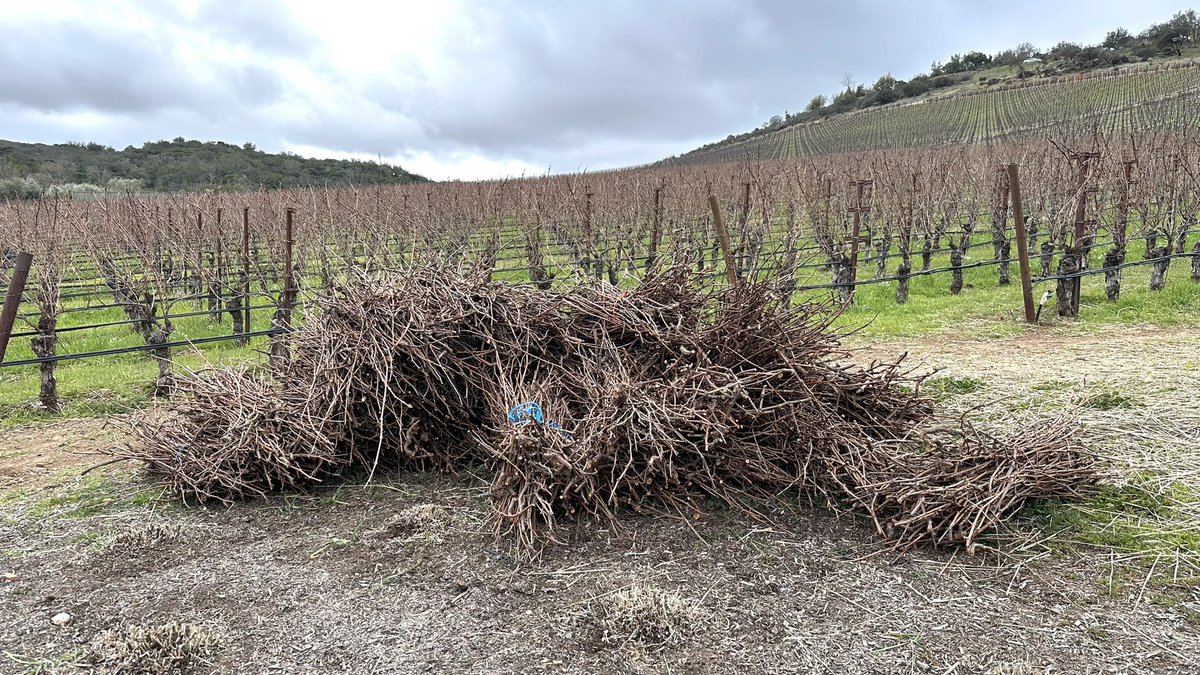 LazySomm's tweet photo. The image of Cariad and some soil from the vineyard at #Colgin Cellars.
#コルギン 楽しかったです
土壌の少しな違いで味の差がでるのは興味深い
#colgincellars #napavalley #コルギンセラーズ #ナパバレー #カルトワイン https://t.co/OByldf9BHk
