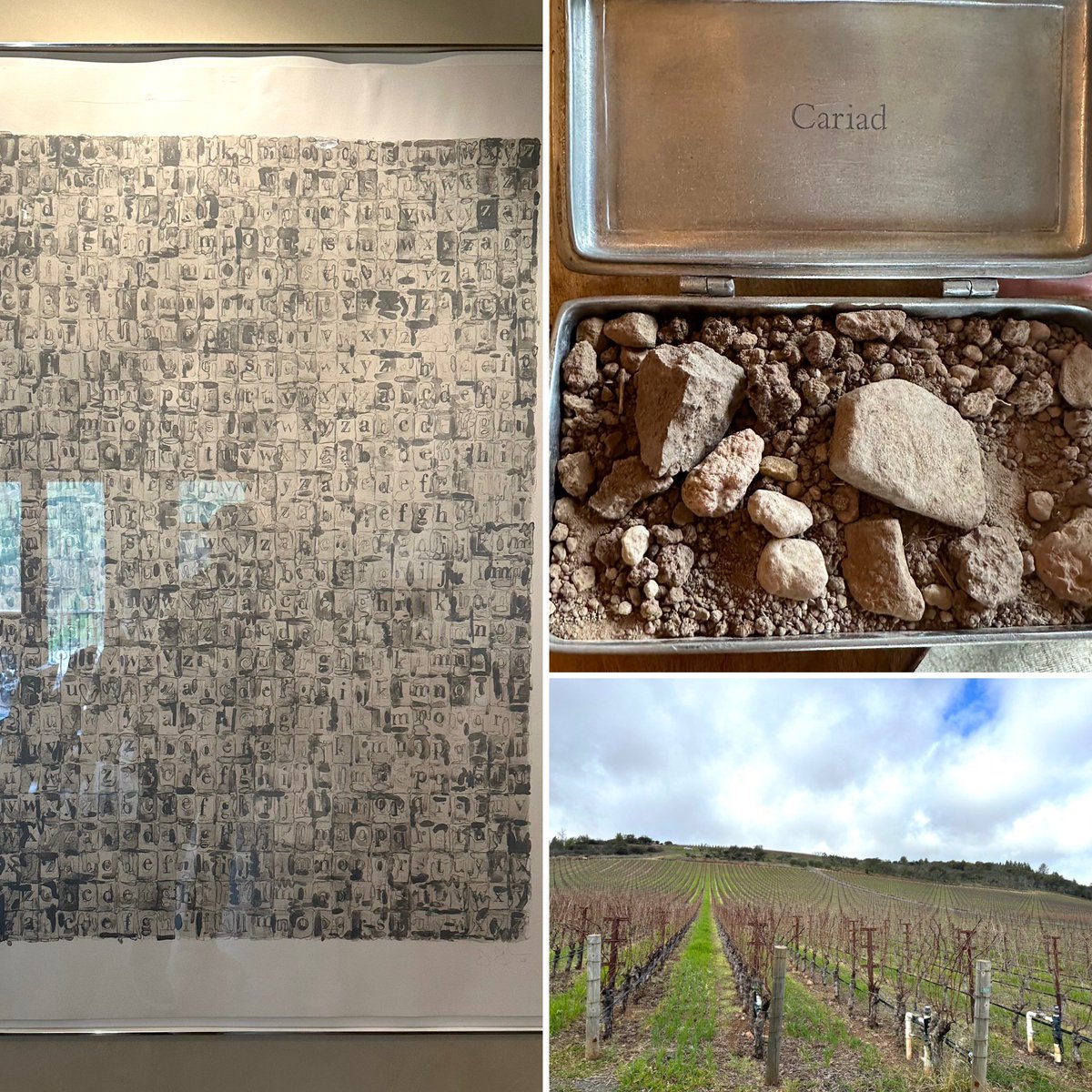 LazySomm's tweet photo. The image of Cariad and some soil from the vineyard at #Colgin Cellars.
#コルギン 楽しかったです
土壌の少しな違いで味の差がでるのは興味深い
#colgincellars #napavalley #コルギンセラーズ #ナパバレー #カルトワイン https://t.co/OByldf9BHk