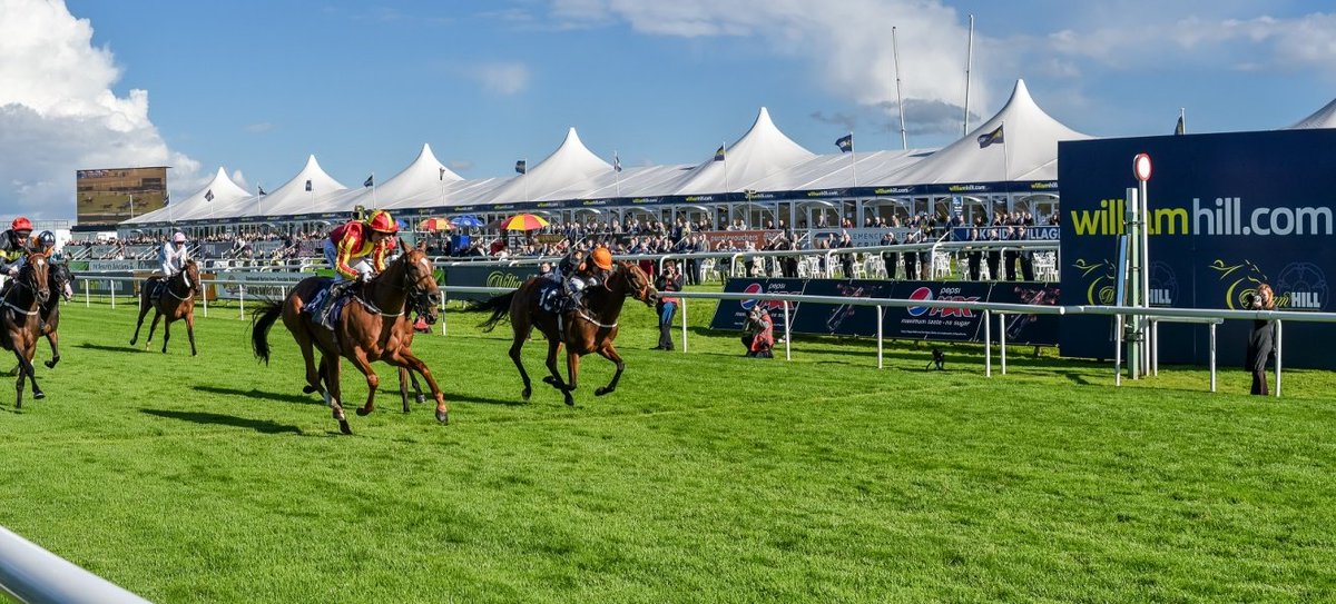TopTipRacing's tweet photo. Selections today

Doncaster🐎
2:25 - Warning Sign 20/1 ew
3:00 - King's Lynn 13/2 ew
3:35 - Jimmy Hendrix 14/1 ew
5:20 - Lunar Jet 6/1 ew

#HorseRacing #Doncaster https://t.co/xOY2Q9TTnW