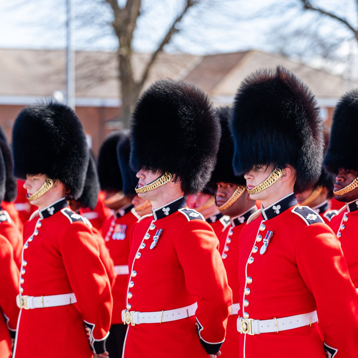 “Today we celebrate our 123rd birthday, up the Micks!”

Quis Separabit

#IrishGuards☘️💂#BritishArmy #TheGuards
#IG #ArmyLife #Soldier #ProtectingOurNation #CourageAndCommitment
#WeAreTheBritishArmy #ProudToServe #ArmyFamily #ServiceBeforeSelf
#StrongerTogether #HappyBirthday