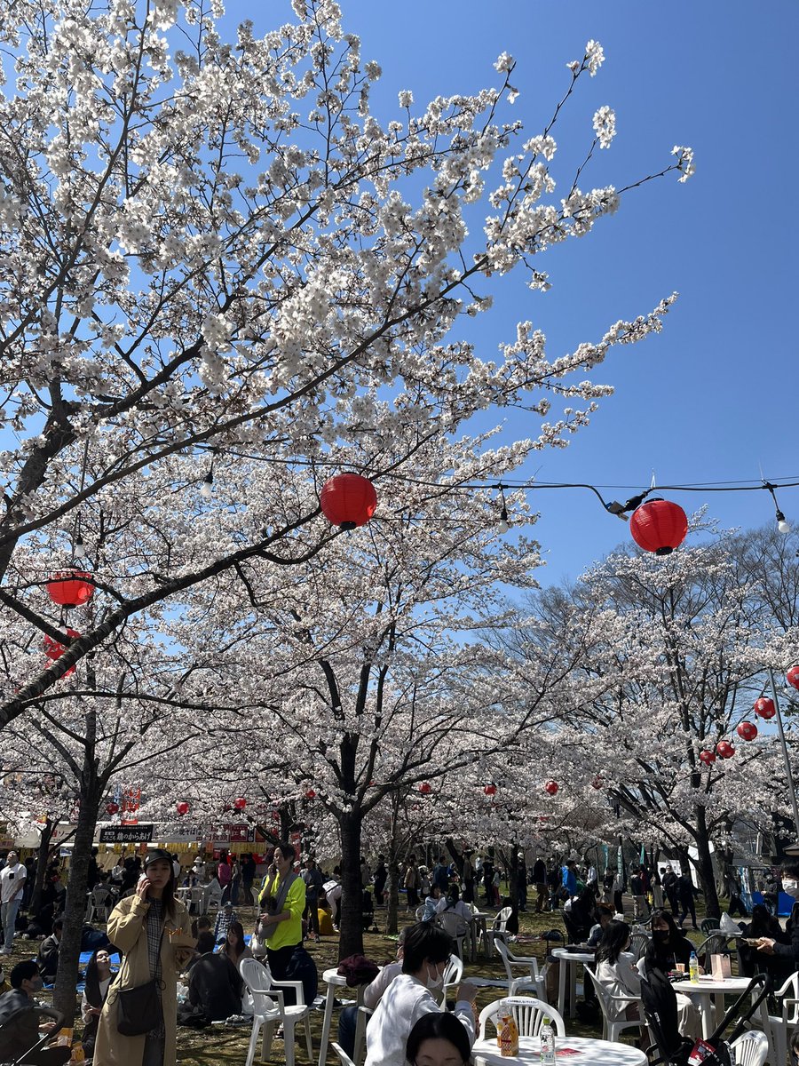 shun_S4RS's tweet photo. 西公園で花見
定義山で油揚げ
ダム通って帰宅
#バイク好きと繋がりたい #宮城バイク乗り
#ドゥカティ #ドゥカティモンスター #テスタストレッタ #S4RS
#DucatiMonster #testastretta https://t.co/lzFSooSo6u
