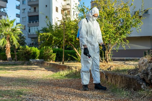 willyjames965's tweet image. Offering the Best Solution to your #Pest_Problems:-
We predict that in the near future, Best pest control Dubai can prevent a serious threat to #humanity. To know more info: lampuae.com/Blog/Offering-…