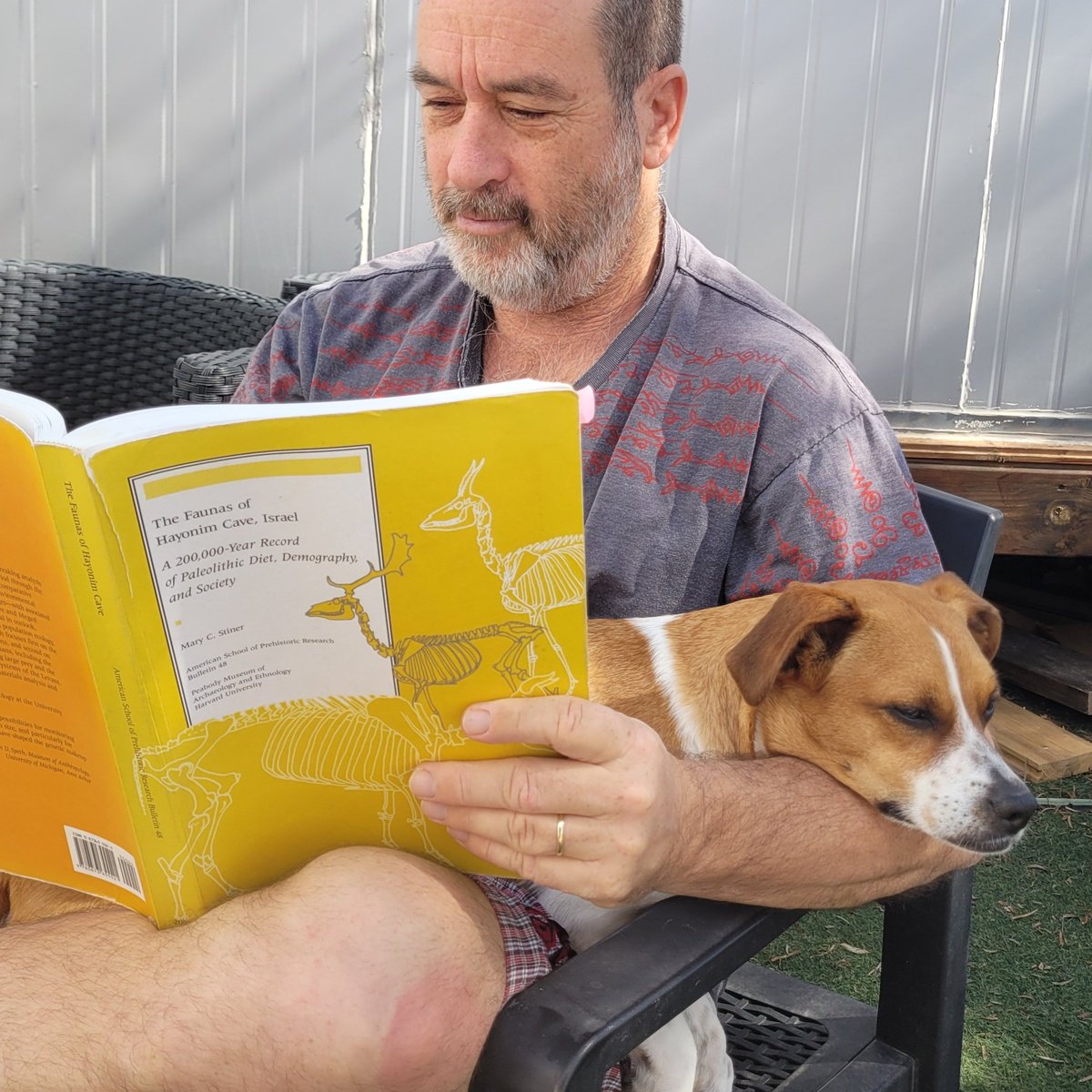 After finishing his taphonomic experimental work, Milo askeed to better understand body part profiles. So we got back to Stiner's epic Hayonim book.

#readingsaturday
#taphonomy
#archaeozoology 
#zooarch 
#Paleolithic 
#Paleolithic