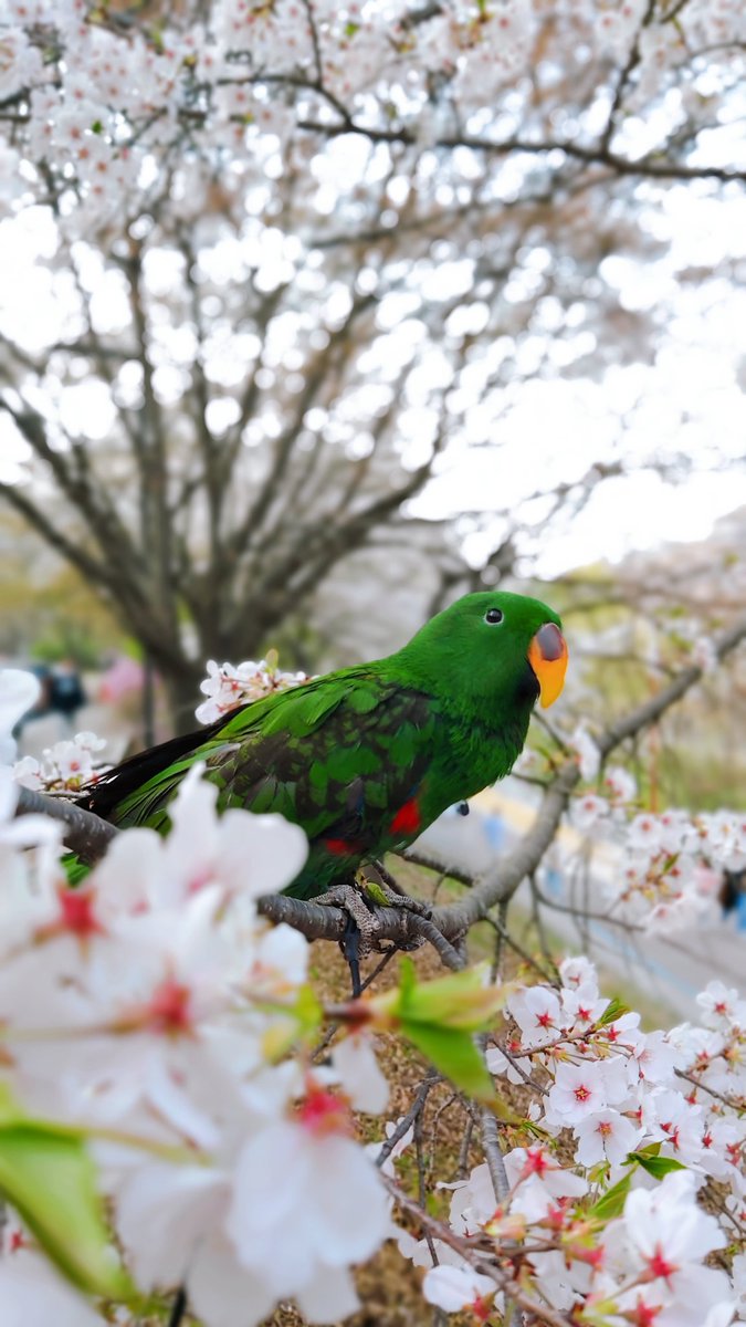 이건 좀 잘 찍은듯 
진짜 살아있어!!! 소리 백 번 들은 날