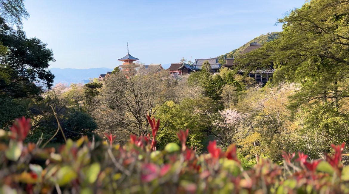 fu1mi2ya6's tweet photo. 今日は日本三景になってる天橋立のビューランド行って、そのあと清水寺に行ってきた😃 https://t.co/nZ3wlhkZa0