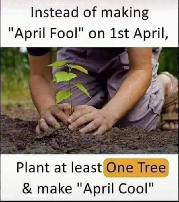 virendersehwag's tweet photo. April Fool nahin April Cool banao. 
Plant a tree. https://t.co/Ba9jvwmYuU