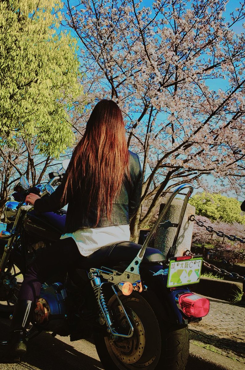 rikaching's tweet photo. 大型二輪取得して2月で1年経ち、
タンデムデビューしたので、改めて
#バイク乗りとして軽く自己紹介 
名前☆りーちゃん
住み☆大阪
年齢☆おてんばアラフォー
身長☆162cm
車種🏍☆HarleyDavidson.xl883c
車種🚙☆G350
趣味☆🏐,🚙 ,🎤🎶，🏍

 #バイク乗りと繋がりたい
 #バイク女子 #長男と😊 #桜 https://t.co/oTJUmx9Pif