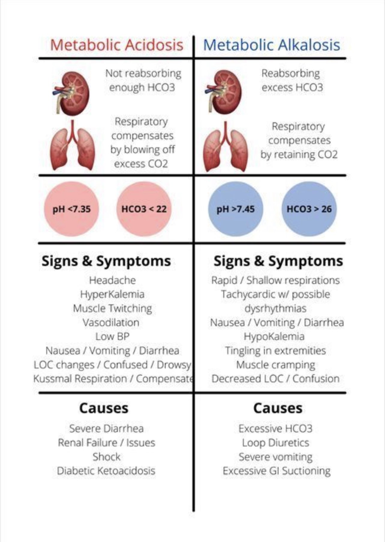 Biochem48 On X Metabolic Acidosis Vs Metabolic Alkalosis , 57 OFF