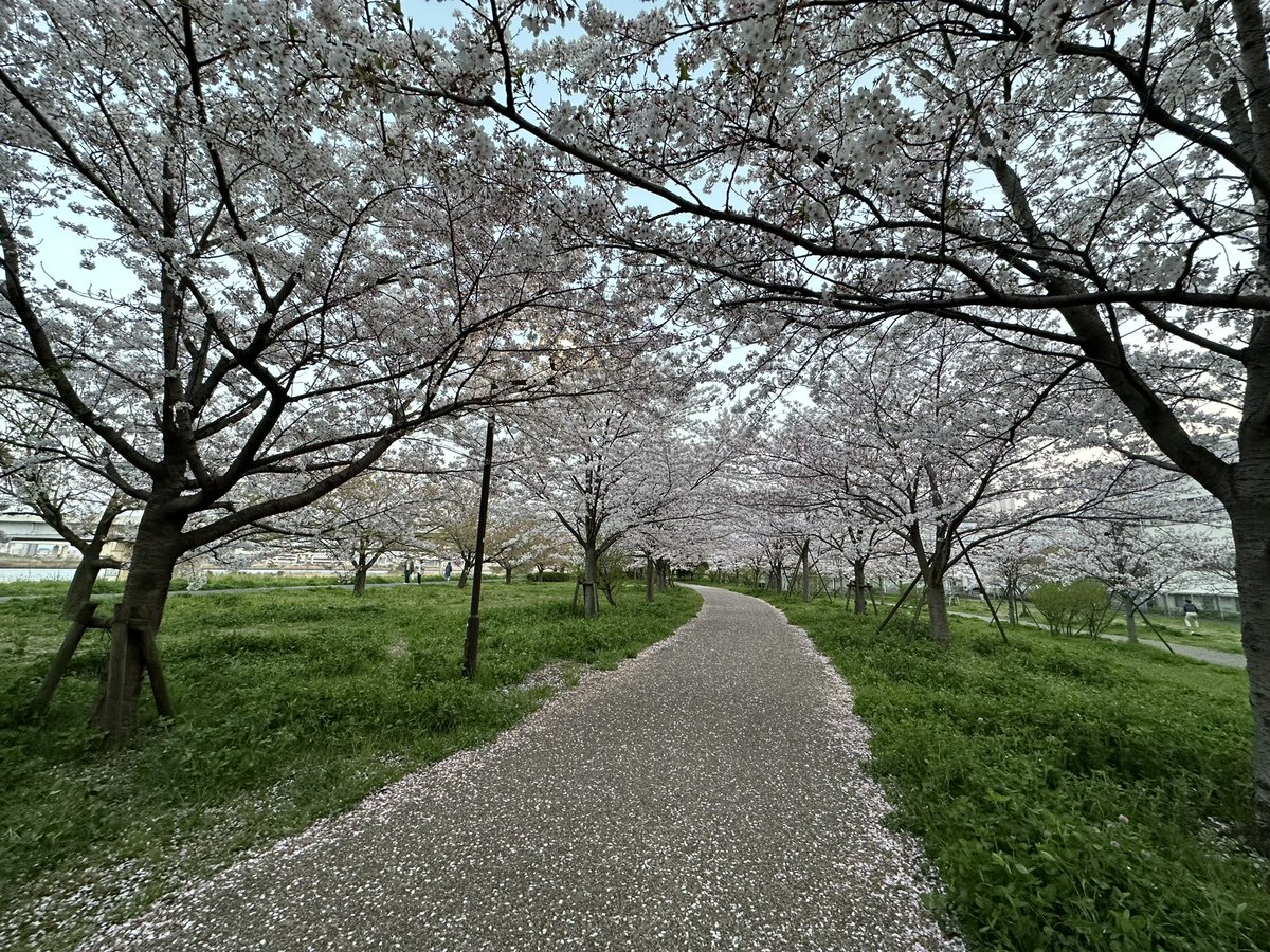 TAKASHINA6688's tweet photo. https://t.co/dbF5NgkWO7