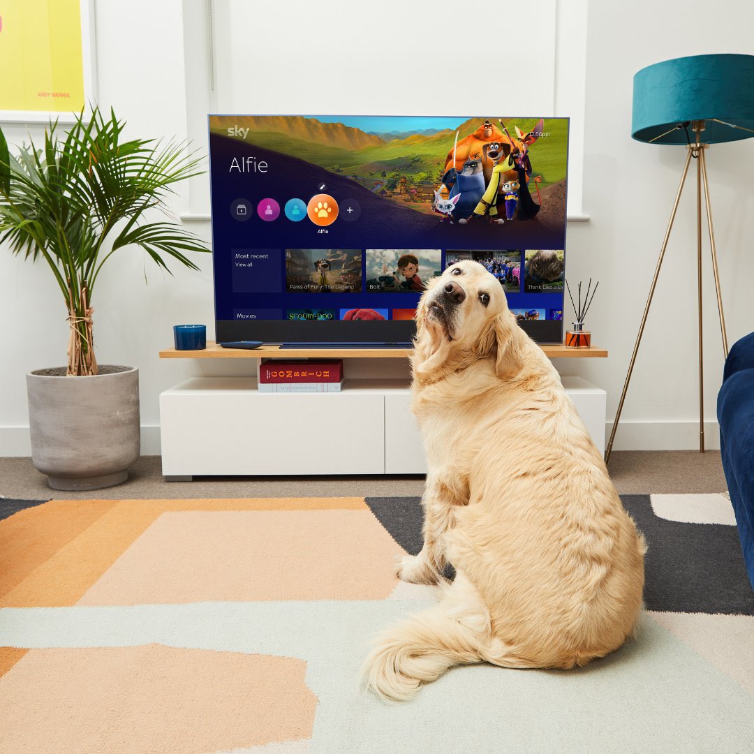 Sky Ireland tweet media