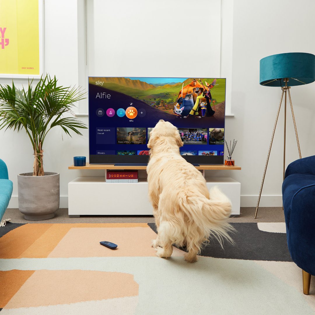 Sky Ireland tweet media