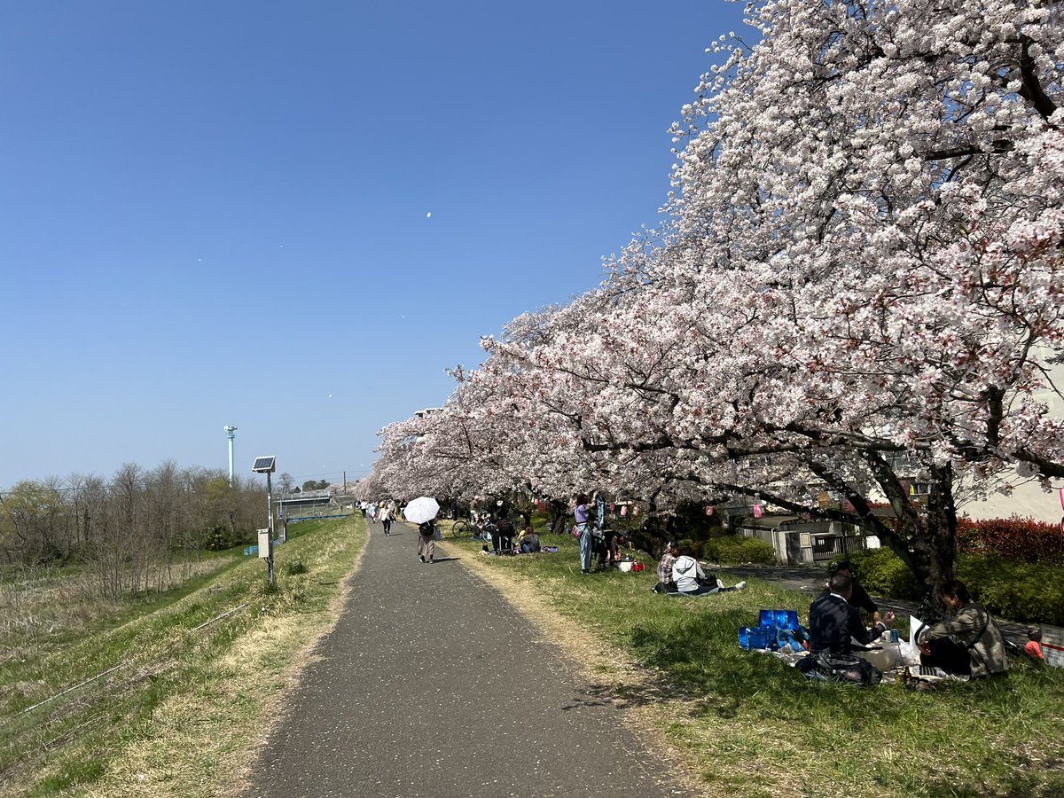 Gunnm0312's tweet photo. 桜祭り〜最高🫧🍒🤍🍒🫧*:.｡❁🌸🍒🌸🫧天気よくて。良かったです(´இ□இ｀｡)° https://t.co/5XBVKVY0MM