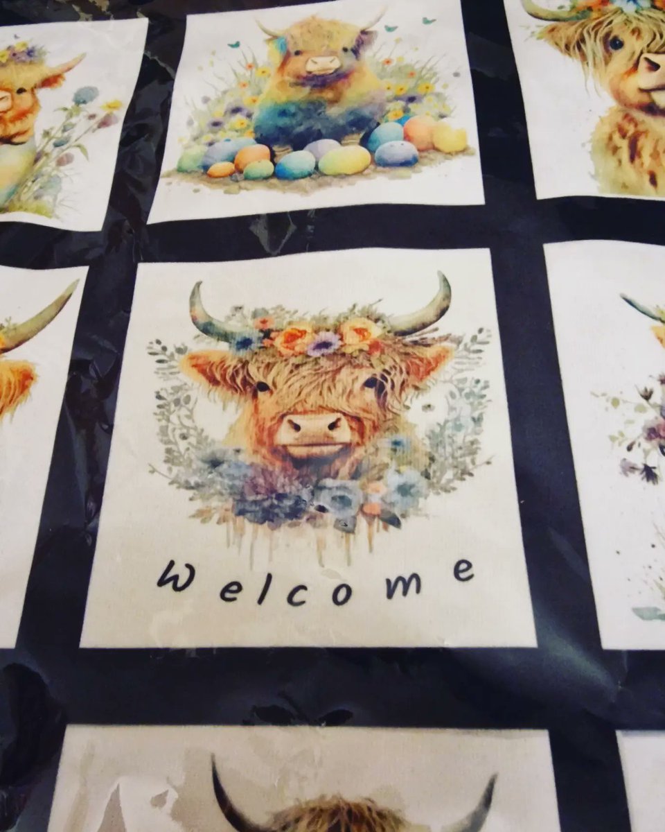 JulieMcAdam35's tweet photo. How lush is this cushion cover... can be personalised.
Message to order.
Only £7.00 FREE postage.
#buildingmybusiness #jmccrafts #findmeon https://t.co/F7LRN6KbBw #helpsmallbusinesses https://t.co/cHFGyQai4k