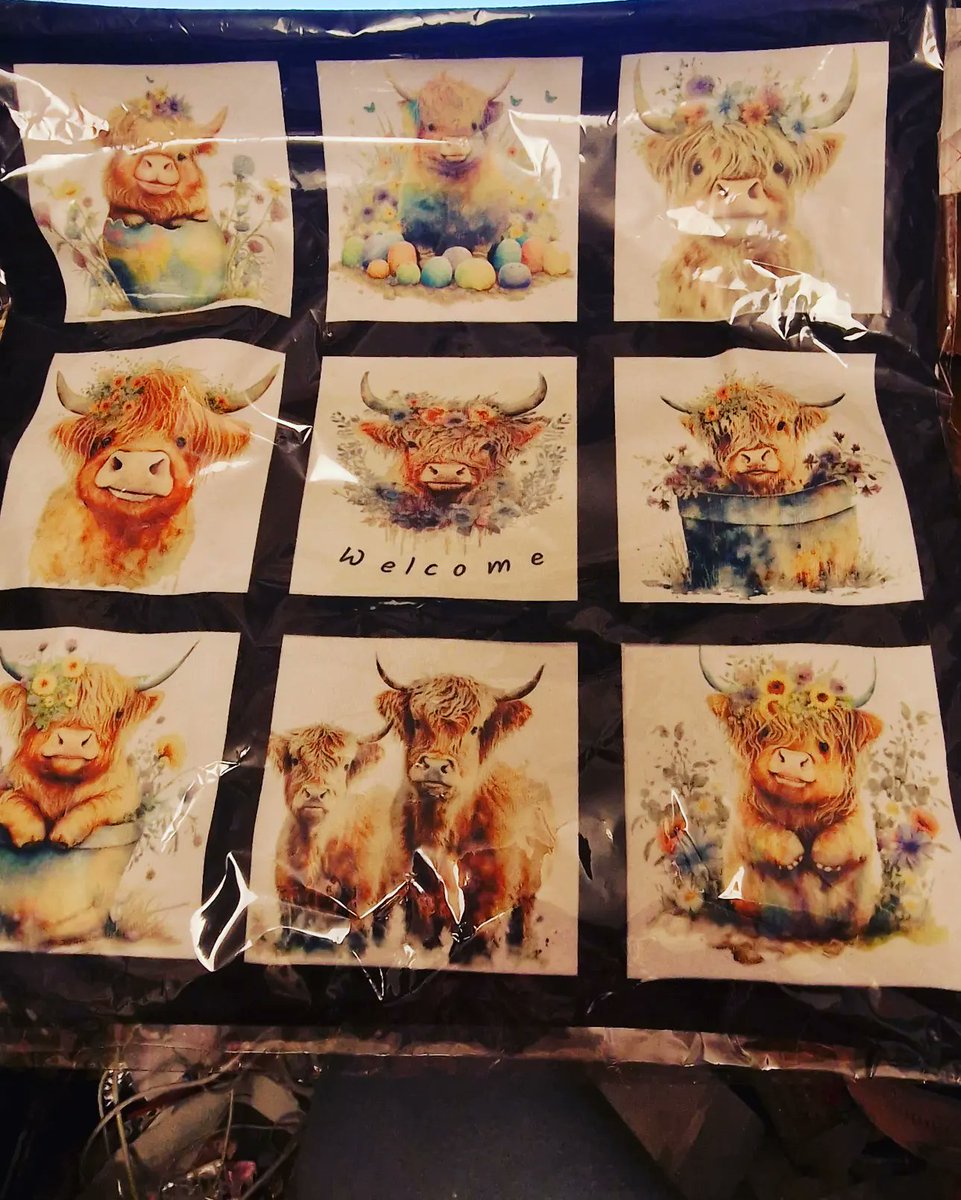JulieMcAdam35's tweet photo. How lush is this cushion cover... can be personalised.
Message to order.
Only £7.00 FREE postage.
#buildingmybusiness #jmccrafts #findmeon https://t.co/F7LRN6KbBw #helpsmallbusinesses https://t.co/cHFGyQai4k