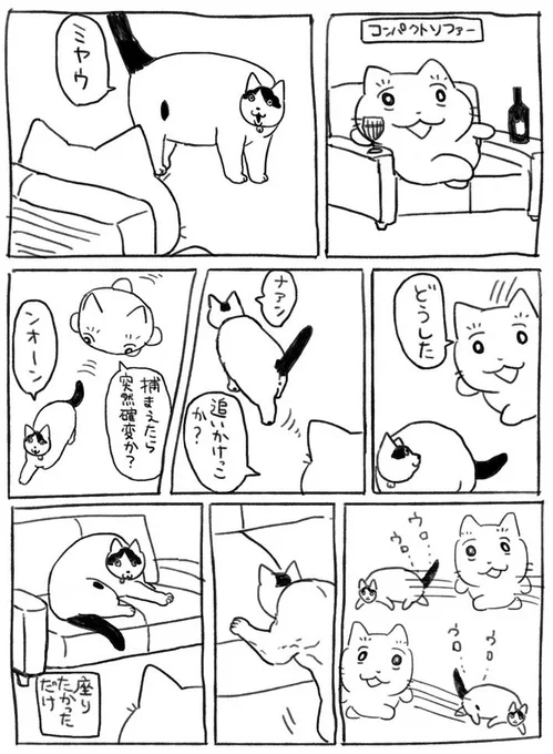 ソファでくつろいでいるところに、現れた愛猫 飼い主を導くように鳴き始めて? https://t.co/w7SZbphCqN @grapeejpより 