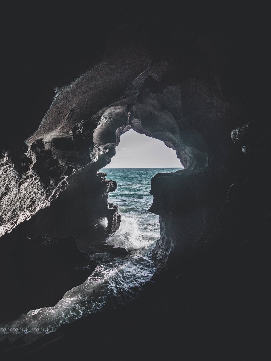 Ebenezer42_'s tweet photo. “Nature is not our enemy, to be raped and conquered. Nature is ourselves, to be cherished and explored.”
-Terence McKenna
#quote #quotesoftheday https://t.co/GnNoDfjNTH