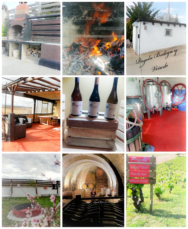 CarlosPagolaEno's tweet photo. Estamos en marcha!!!,¿Te apetece visitarnos?, https://t.co/Fk0zp3Xzj9, plazas limitadas 🙊, feliz día amig@s del Vino 🍷

#casapagola #bodegaboutique #enoturismo #rioja #ardoa #vinopremium #enoturisme #ilovewine #authorwine #laRioja #Wein #Weingut #viñedo #enoturismoenfamilia https://t.co/MVkVmjmh9M