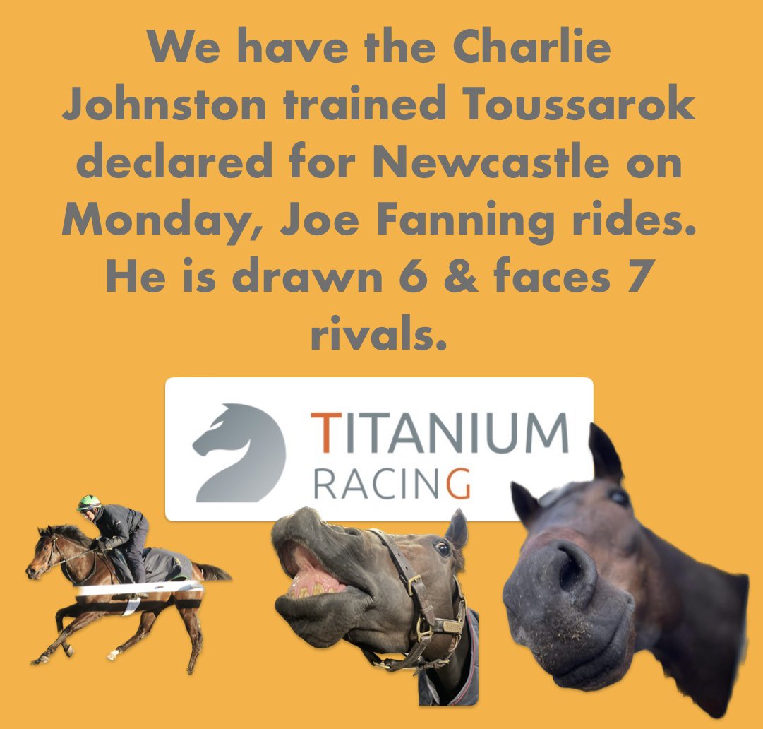 We have the @Johnston_Racing Toussarok declared for @NewcastleRaces on Monday, Joe Fanning rides.