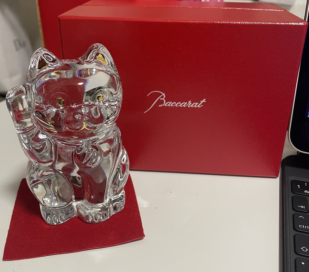 ロングイと金のなる木。
なんか急に開運グッズが増えたw
エネルギー爆上がり。