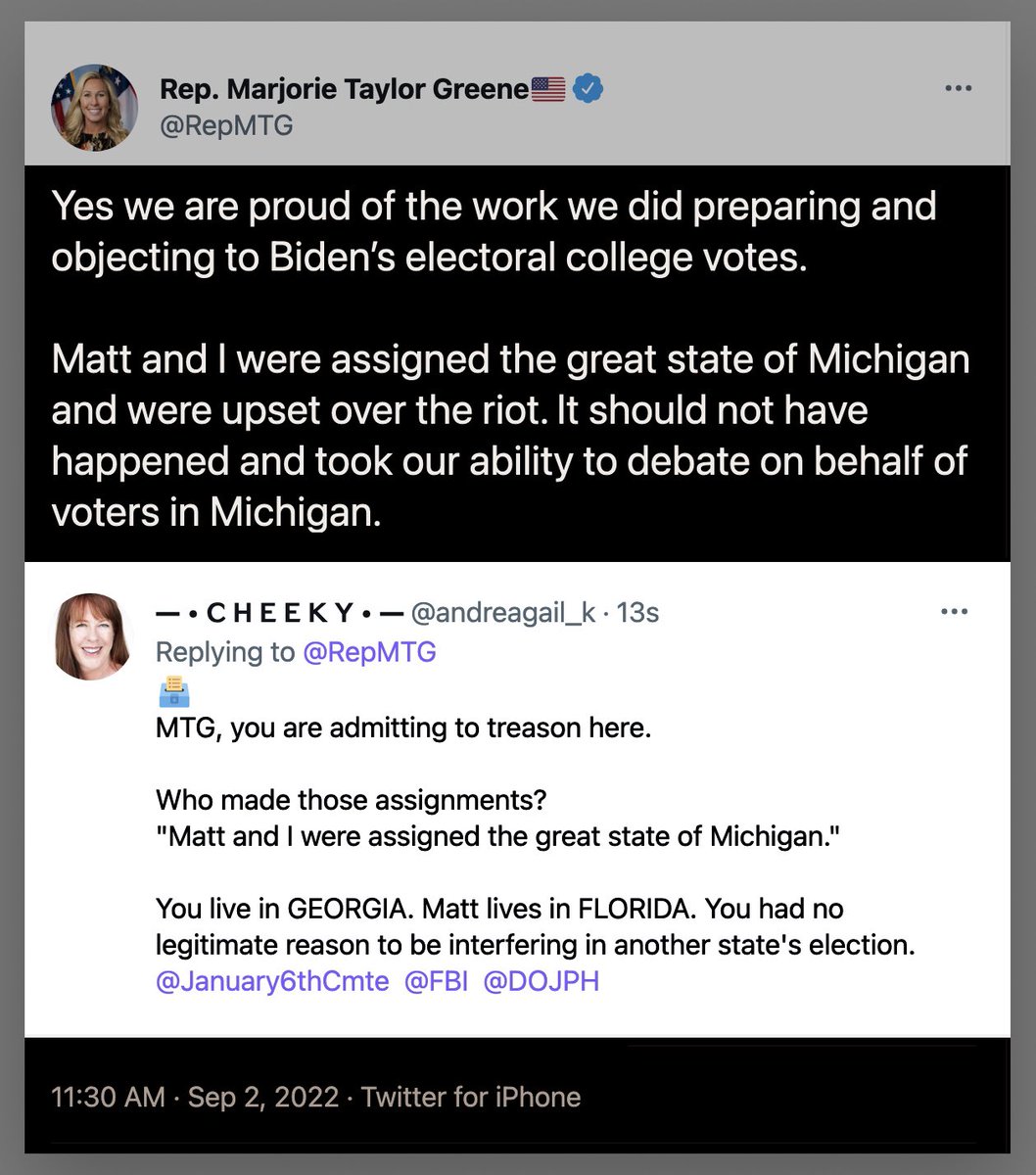 Megan tweet media