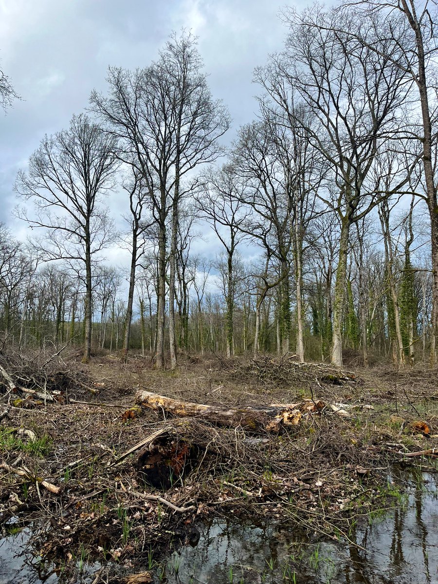 GaginPaoli's tweet photo. 🌳Forêt communale🌳
Journée de formation UT à Auxon pr permettre aux élus #COFOR d’adapter leur document d’aménagement face aux conséquences du réchauffement #climatique que subissent nos #forêts
🙏 aux élus participants, @ONF_Officiel et à l’URCOFORGE pr les riches échanges ! https://t.co/QHOSQRaImS