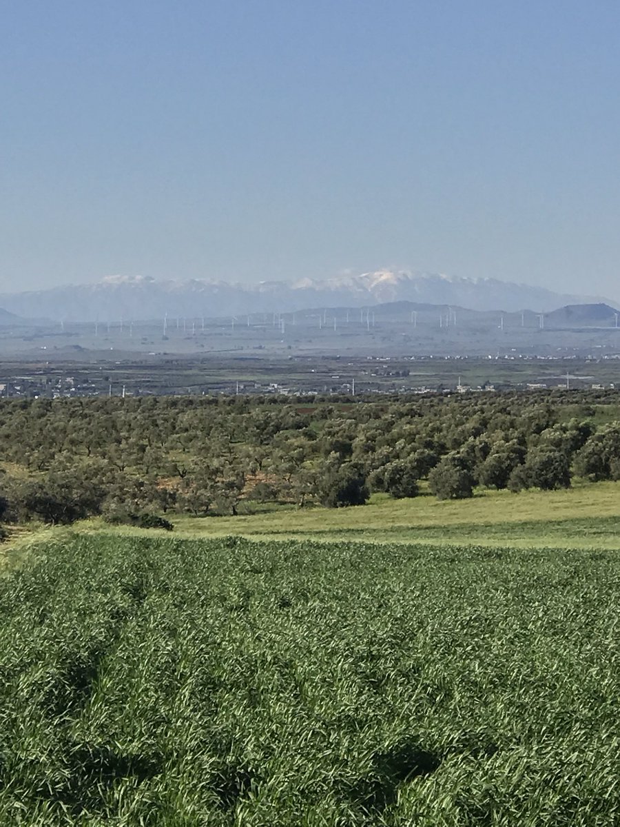 محمود عبيدات (@mahmoud72458819) on Twitter photo 