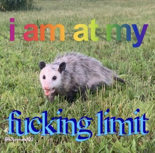 # 𝑻 𝑾 𝑬 𝑨 𝑲 ( revamp?)➳ೃ༄* (@trigggerhcppy) on Twitter photo 