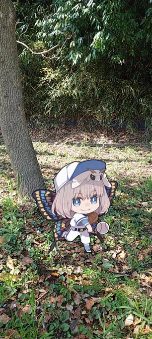 折角なので森へ行って一緒にキャッチボールしてきました。 