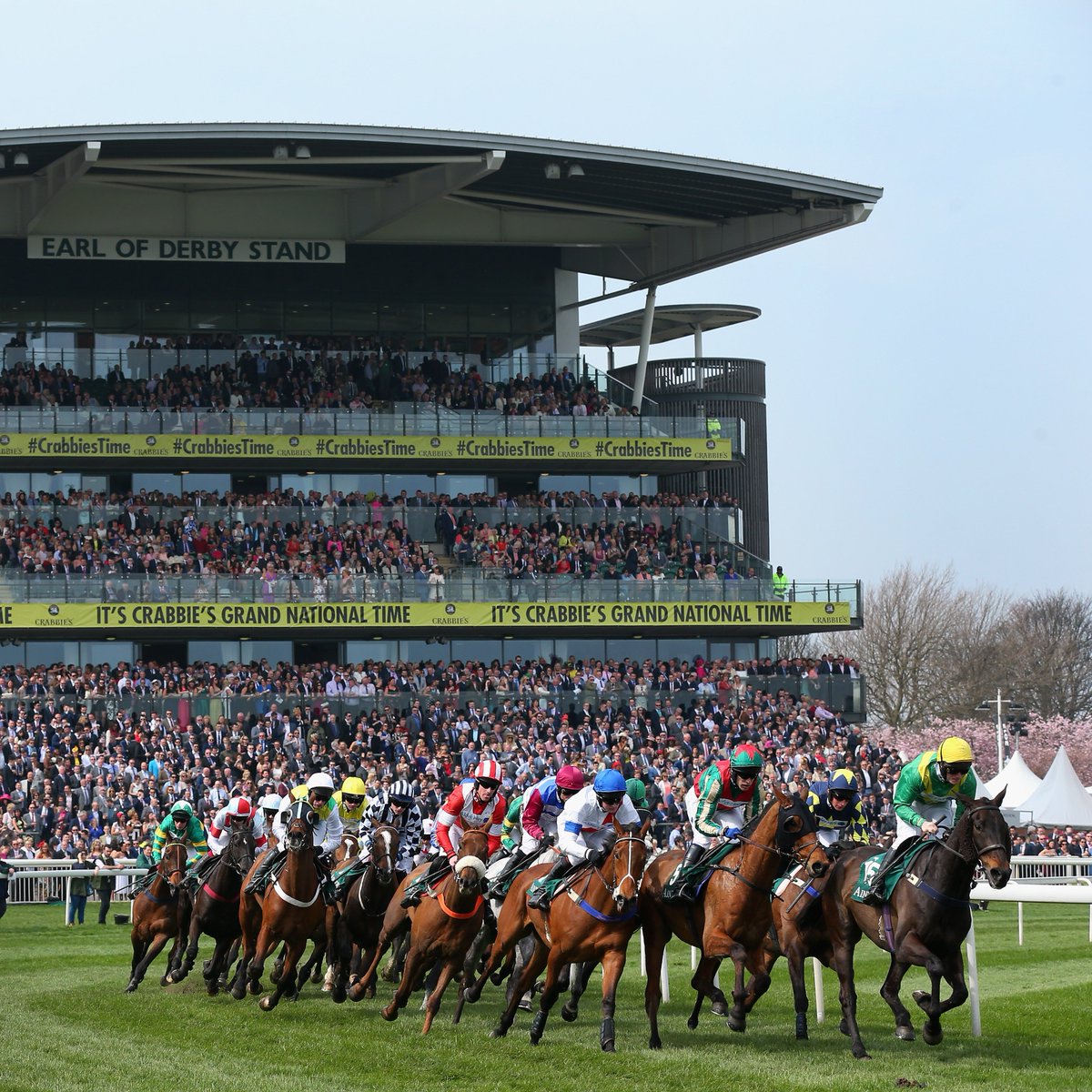 bet365's tweet photo. Two weeks today
Two weeks today
Two weeks today
Two weeks today
Two weeks today
Two weeks today
Two weeks today
Two weeks today
Two weeks today

The 2023 Grand National. https://t.co/tROTC4T90X