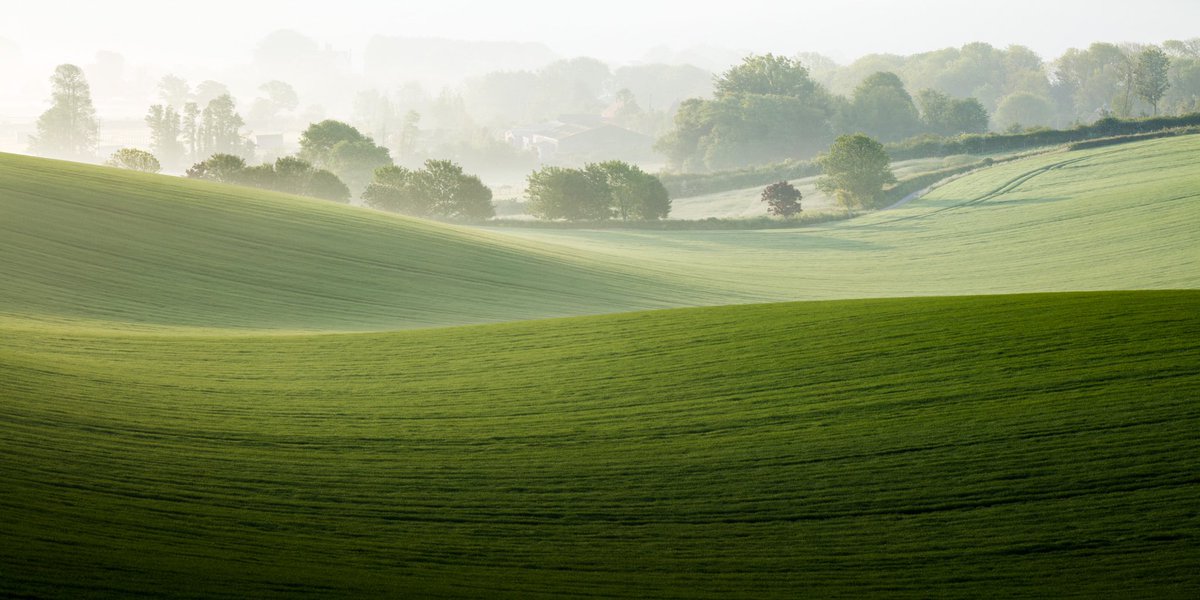 PhotoBrighton's tweet photo. April in the #SouthDowns National Park. A most excellent time of year.

Come and see these three at the gallery this marathon weekend. We'll also be open all the way through the Easter holidays. Come and say
hello! https://t.co/BJKWoKKJmH
