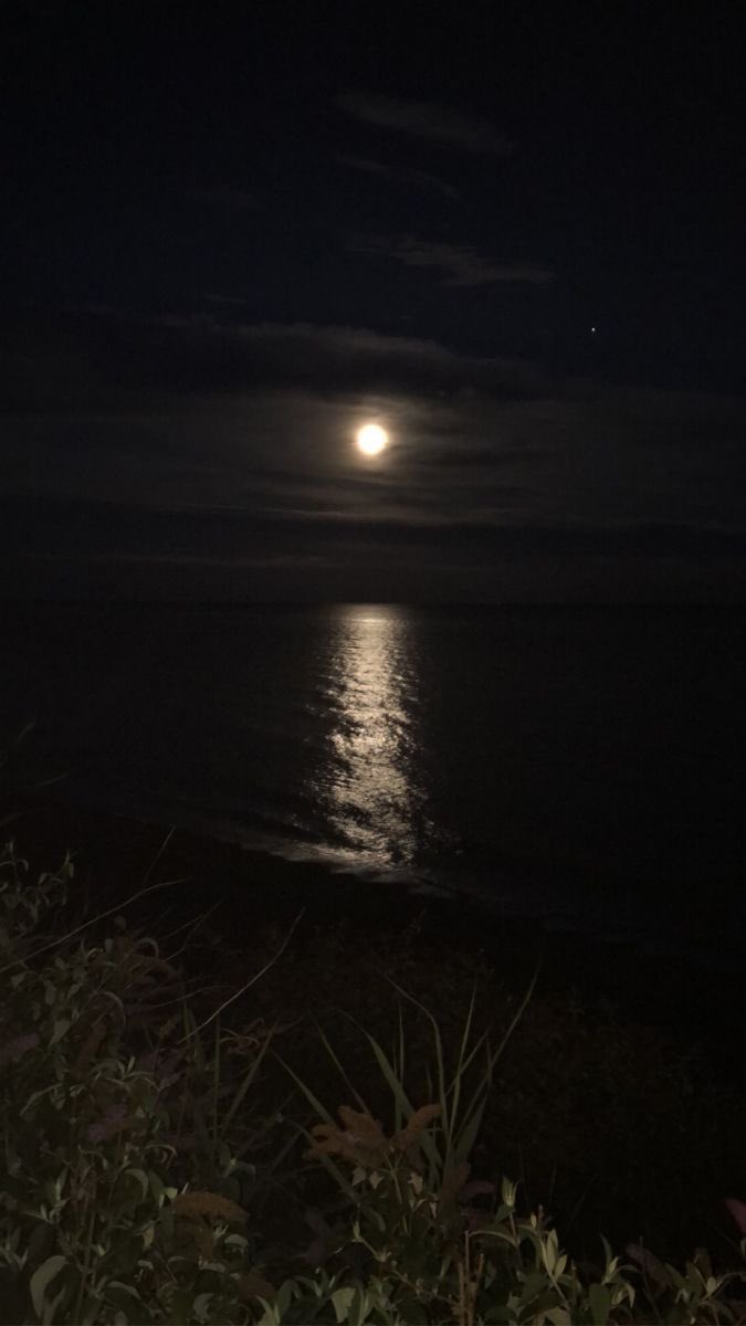 vampirezxe's tweet photo. I can stare you for hours
<<<<<🌔 https://t.co/0hmJa7E9my