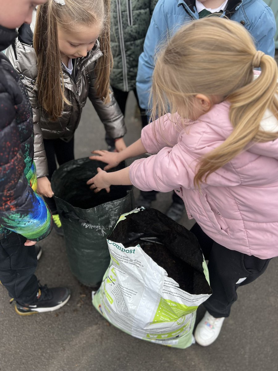 Meadowside Year 2 Fir tweet media