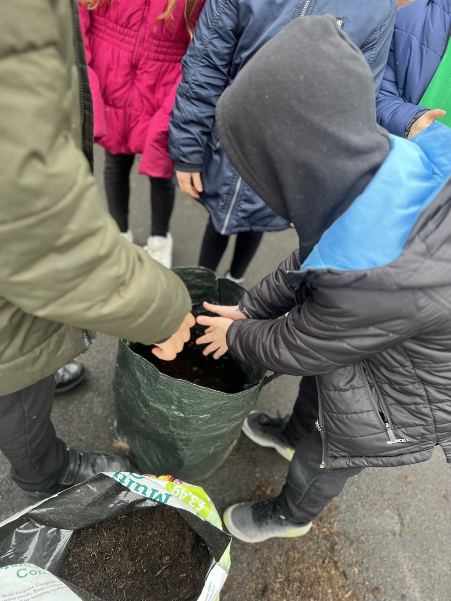 Meadowside Year 2 Fir tweet media