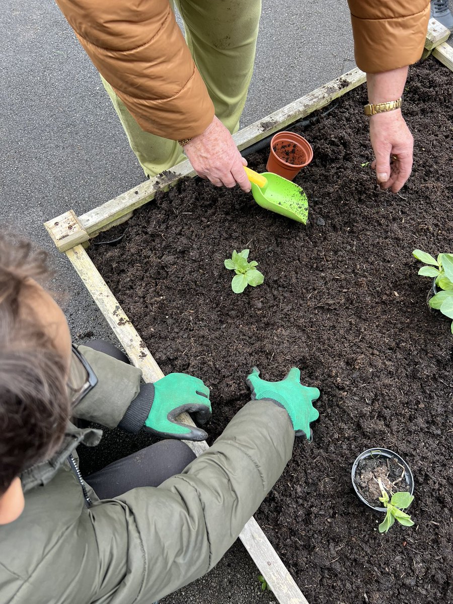 Meadowside Year 2 Fir tweet media