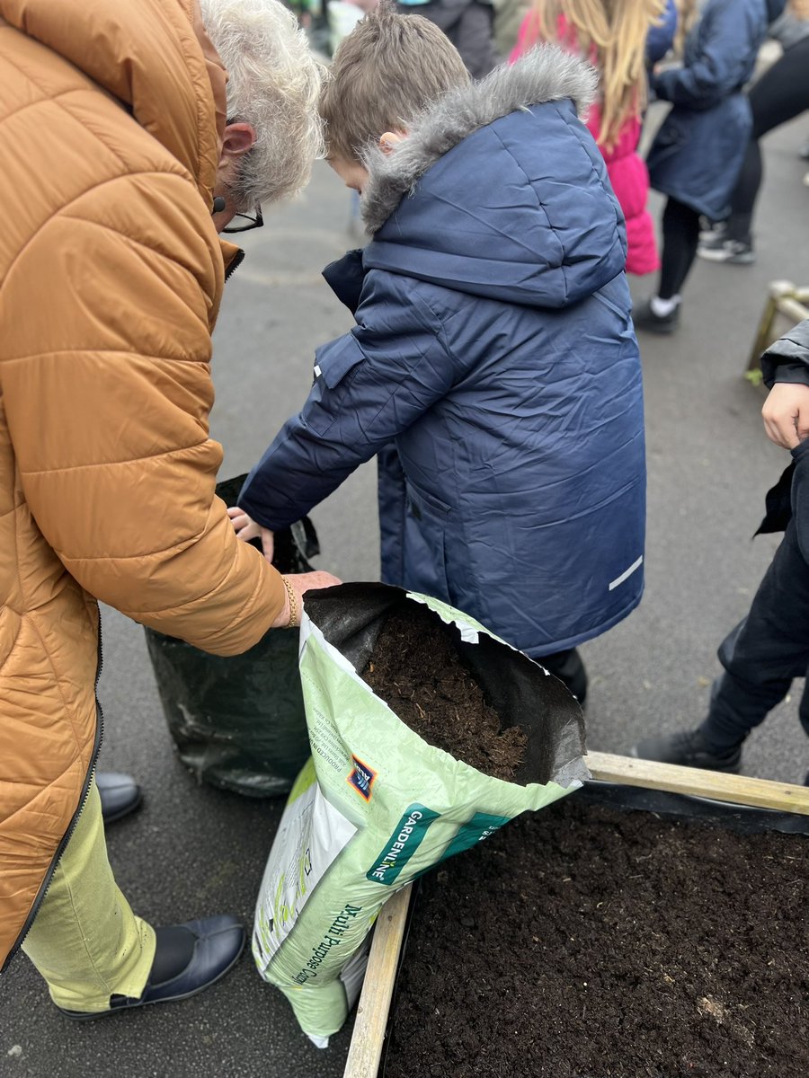 Meadowside Year 2 Fir tweet media