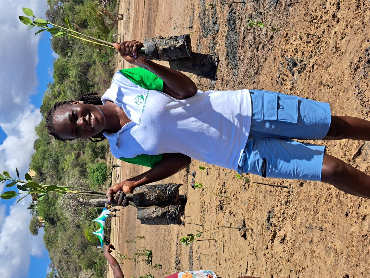 PaulineOwiti's tweet photo. To commemorate the coming International Day of Sport for Development and Peace under the theme Scoring for people and the planet, several organizations came together to organize mangrove planting, beach clean up and sports activities at Gastonia Beach in Kilifi.
#OurSharedWorld https://t.co/LDQCo6bzyT