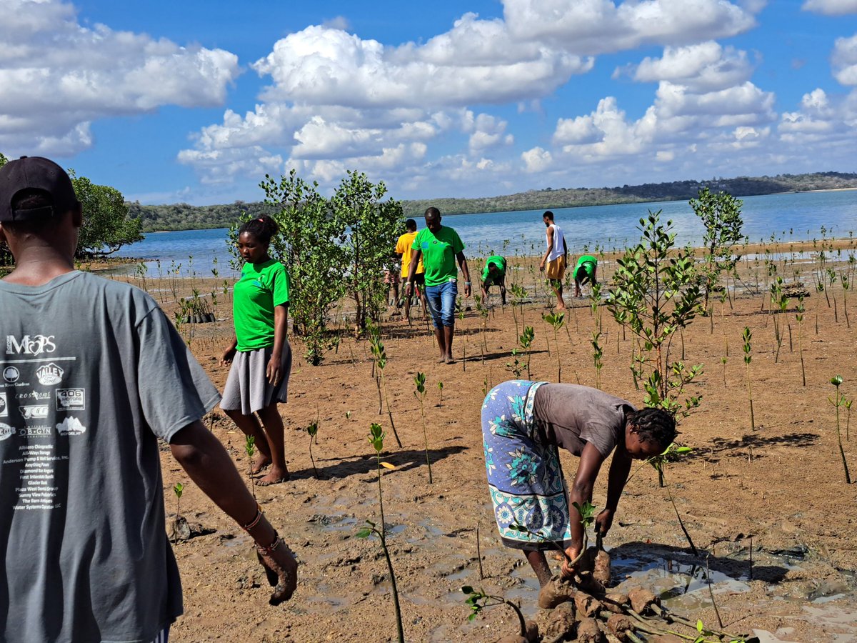 To commemorate the coming International Day of Sport for Development and Peace under the theme Scoring for people and the planet, several organizations came together to organize mangrove planting, beach clean up and sports activities at Gastonia Beach in Kilifi.
#OurSharedWorld