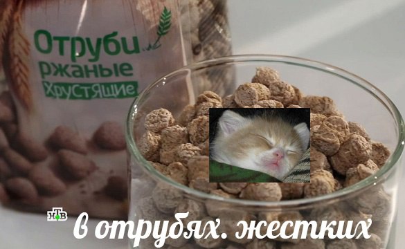 Ето я