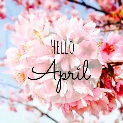 Have a blessed day beautiful people and may April make your soul happy 🌺🌷🌸
#AprilWish #1stApril2023 #1stApril