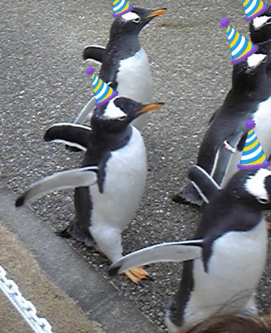 #エイプリルフール2023 #エイプリルフール  お花見盛り上げ隊 ペンギンガヤを引き連れて、出張、承ります オーナー、従業員が犬猫の為、ご用命は動物語でお願いいたします
