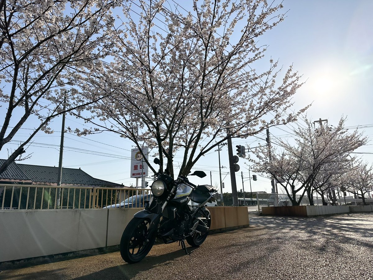 oresama47's tweet photo. チェーンメンテで馴染みのバイク屋。 #佐上商会
所用で立ち寄る馴染みのクルマ屋、や、休み?!
#ssworks
午後はバイクなヒトでしたとさ。
#yamaha #mt25 https://t.co/WaNm3rZ4LP