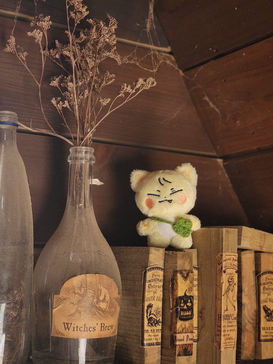 Meow_Kwang's tweet photo. 광냥이 예쁜 가방 메고 좋은데 다녀왔어요🪵🍀💙

#AprilFoolsDay #만우절 https://t.co/F8QBUZWMBK