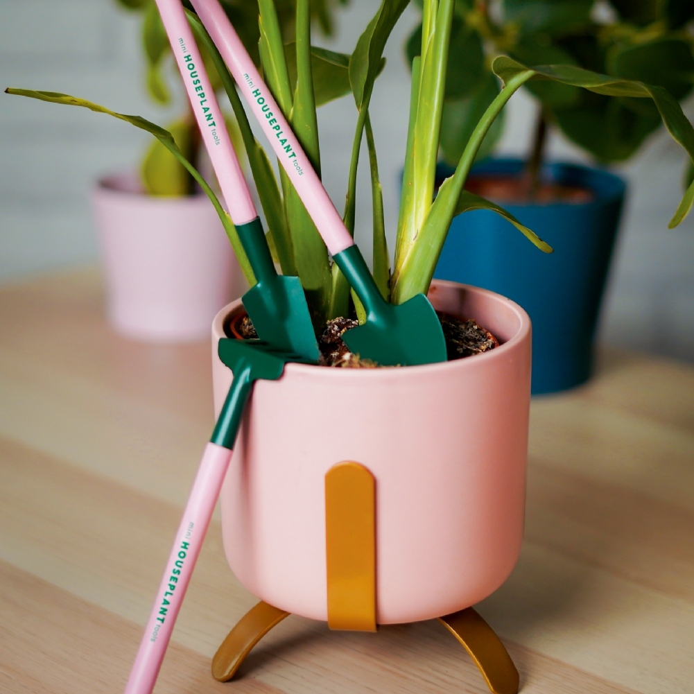 Prezzybox tweet media