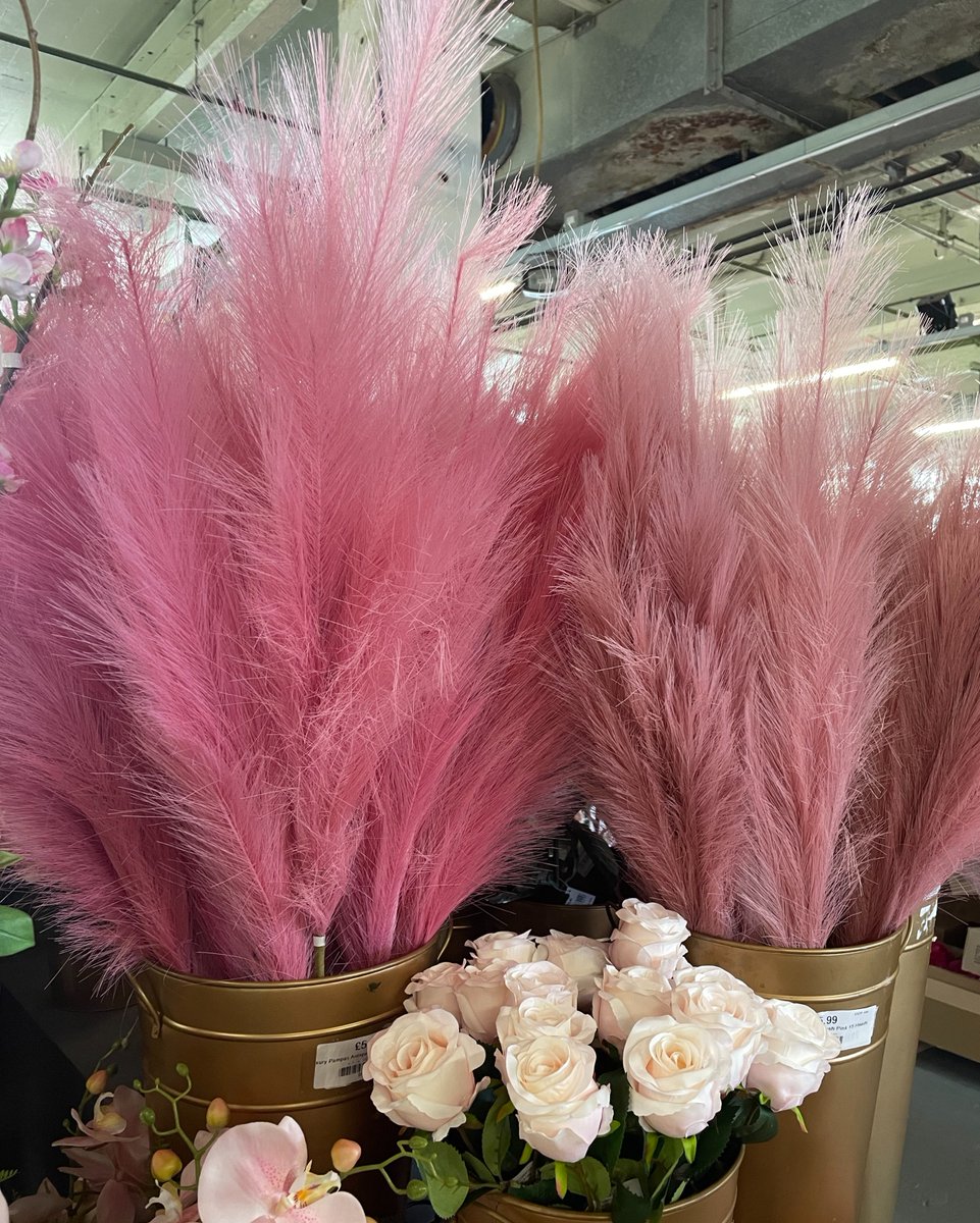 countrybaskets's tweet photo. Pampas Grass is made from natural plants so can be a cause of allergies for some people. 🌾

Our artificial pampas grass doesn't shed or cause any nasty allergic reactions, meaning it can be used in all spaces without any worry 😉

Shop our range - https://t.co/83YK0ttr1W https://t.co/XZy5hiyoQ2