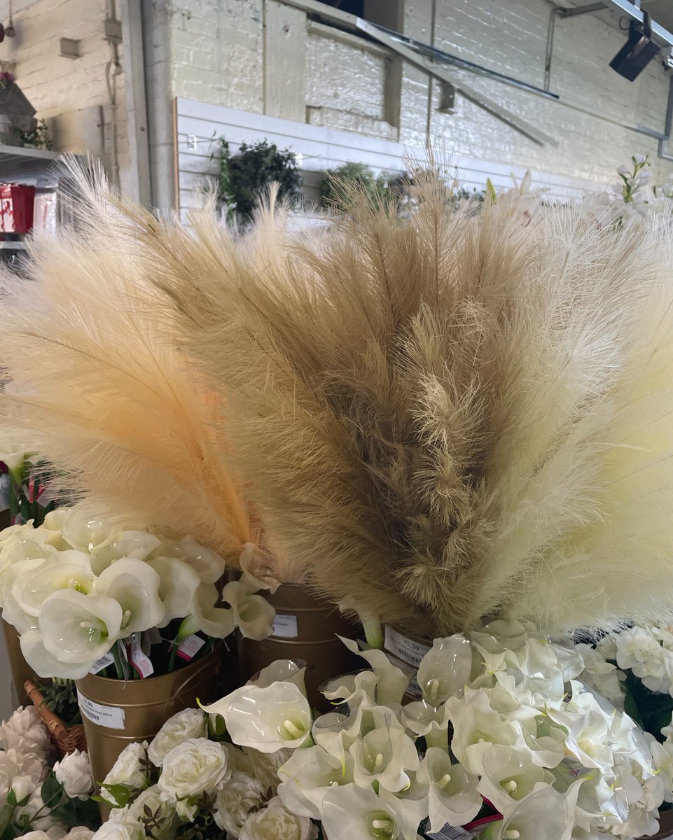 Pampas Grass is made from natural plants so can be a cause of allergies for some people. 🌾

Our artificial pampas grass doesn't shed or cause any nasty allergic reactions, meaning it can be used in all spaces without any worry 😉

Shop our range - countrybaskets.co.uk/search.php?sea…
