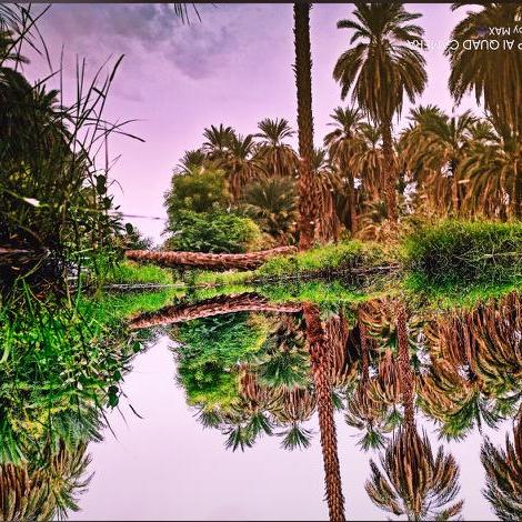 mstar tarig (@mstartarig) on Twitter photo 